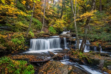  Autumn waterfall at Ricketts Glen State Park - Pennsylvania -  Delaware Falls  © Craig Zerbe
