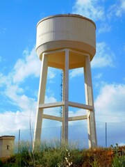 wild rose with yellow filaments in macro