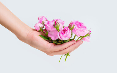 Blooming Rose Buds in Hand on Neutral Background