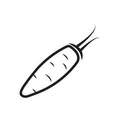 FRUIT icon silhouette design template vector