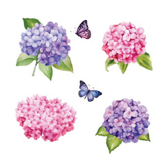 Watercolor style hydrangea flowers set. Glacier blue, violet lilac, purple colored. Vector illustration for simple, natural spring floral wedding design. All elements are isolated and editable.