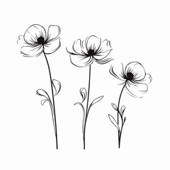Captivating anemone illustrations in vector format, suitable for web design.