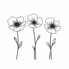 Serene anemone illustrations, symbolizing tranquility and harmony in nature.