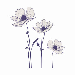 Intriguing anemone illustrations in various poses, perfect for art prints.