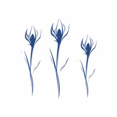Obraz premium Serene bluebell illustrations, evoking a sense of tranquility and peace.