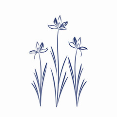 Modern bluebell illustrations with their clean and minimalist style.
