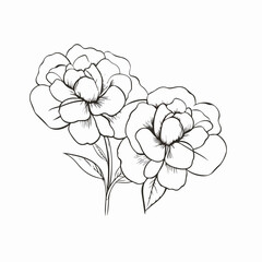 Contemporary camellia illustrations in outline style, adding a modern touch to any design.