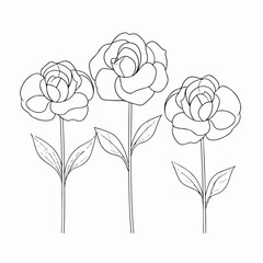 Contemporary interpretations of camellia flowers, embracing simplicity in outline style.