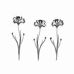 Contemporary carnation illustrations in outline style, adding a modern touch to any design.