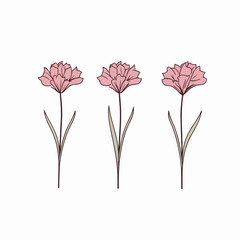 Whimsical carnation illustrations with a playful and imaginative flair.