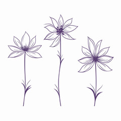 Fototapeta premium Modern clematis artwork with precise vector lines.
