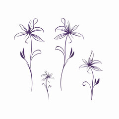 Intricate clematis vector artwork for creative projects.