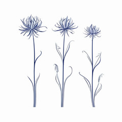 Meticulously crafted cornflower illustration in vector format.