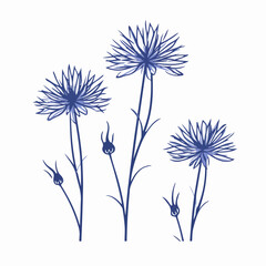 Intricate cornflower vector artwork for creative projects.