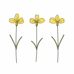 Charming cowslip illustration in a modern vector style.