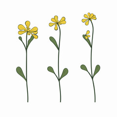 Artistic interpretation of a cowslip in an outline style.