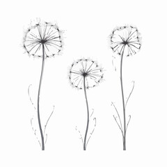 Stylish dandelion vector artwork suitable for various designs.