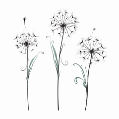 Beautifully crafted dandelion vector artwork.