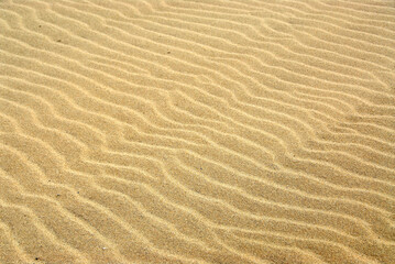 Fototapeta na wymiar Abstract sand background