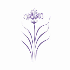 Detailed vector illustration of an elegant iris blossom.