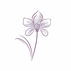 Detailed vector illustration of a graceful orchid blossom.