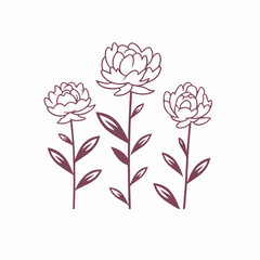 Striking peony vector illustration suitable for print.