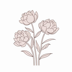 Beautifully crafted peony vector artwork.