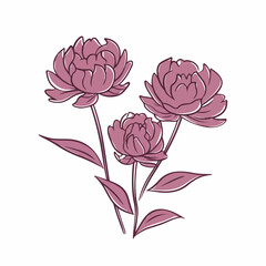 Bold outline of a peony rendered in vector format.