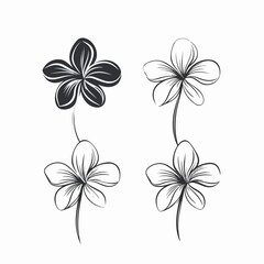 Obraz premium Fine-drawn plumeria illustration with an artistic touch.