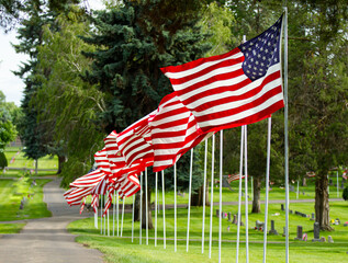 Flags waiving on a nice row at a cemetary