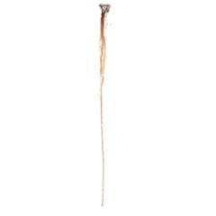 photograph of rust that forms on old and dirty metal