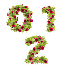3D illustration of Peony flowers alphabet  - digits 0-2