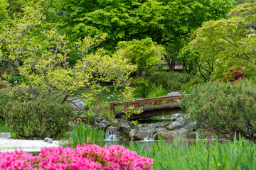 Beautiful japanese-style botanical garden during springtime. Landscape background and wallpaper.