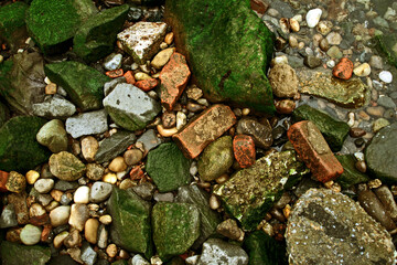 Green algae, red bricks and stones on a shore line.