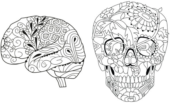 Zentangle stylized brain and scull. Hand drawn decorative vector illustration for coloring