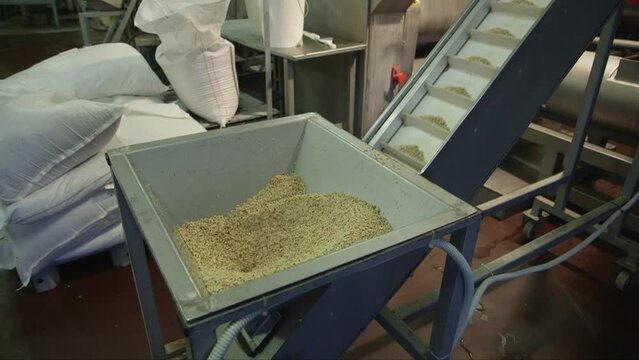 satic medium shot of chopped nuts being fed from the feeder onto the conveyor belt in the chocolate factory