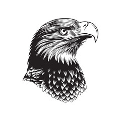 Eagle head sketch hand drawn vector, engraving style. Wild animals Vector illustration