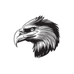 Eagle head sketch hand drawn vector, engraving style. Wild animals Vector illustration