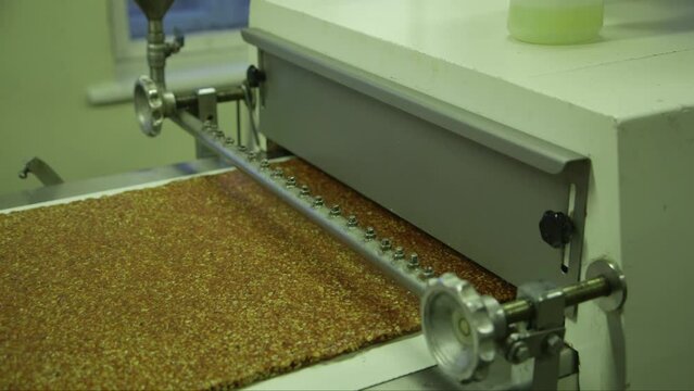 static close up shot of clumped mass of jelly and nuts on a press line in a candy factory
