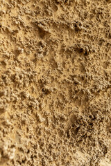 the texture of a natural sand wall covered with sea salt