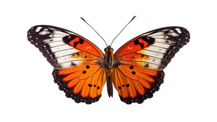 Obraz na płótnie Canvas Butterfly isolated on transparent background created with generative AI technology
