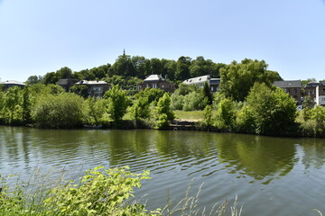 Maisons dissimulées dans la végétation dense longeant la Sambre à Thuin 