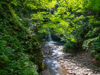 Obraz premium 星置の滝（北海道札幌市手稲区）