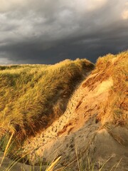 sand dunes at sunset