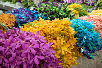 Colorful Flower Market 