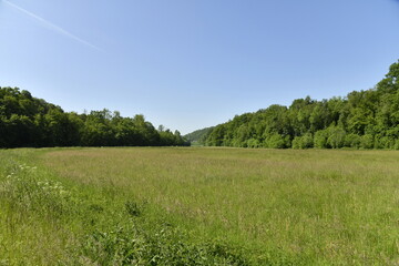 Grande prairie au printemps, au fond de la vallée pittoresque de la Sambre à Thuin 