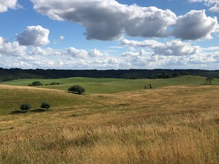 field and sky