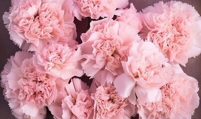  a bunch of pink carnations are in a vase.  generative ai
