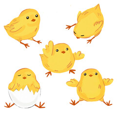 Set of cute chicken
