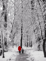 Mother and son on a walk in a park in winter